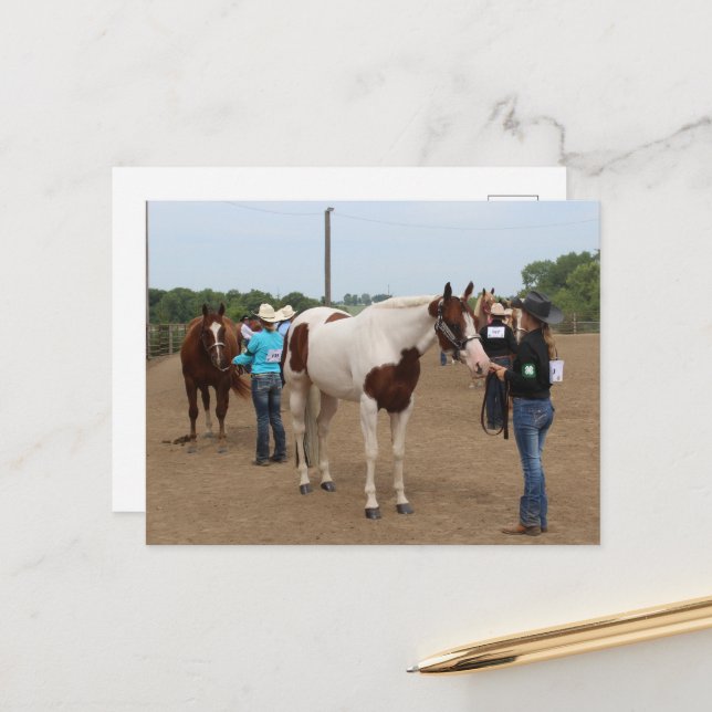 County Fair Showmanship Paints and Quarter Horses Postkarte (Vorderseite/Rückseite Beispiel)