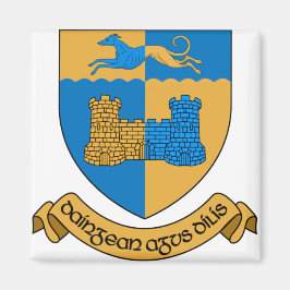 County Longford Irland Magnet