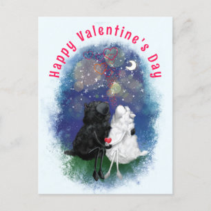 Couple Lamb Liebe Valentine's Day Card - Funny Postkarte