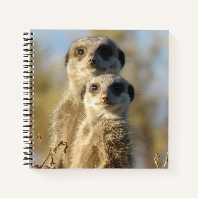 Couple of Meerkats Cute Photo Notizbuch (Vorderseite)