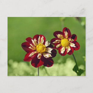 Couple Postcard Postkarte