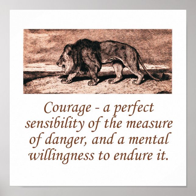 Courage a Perfect Sensibility Poster (Vorne)