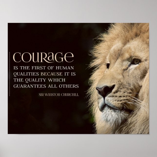 Courage Poster (Vorne)
