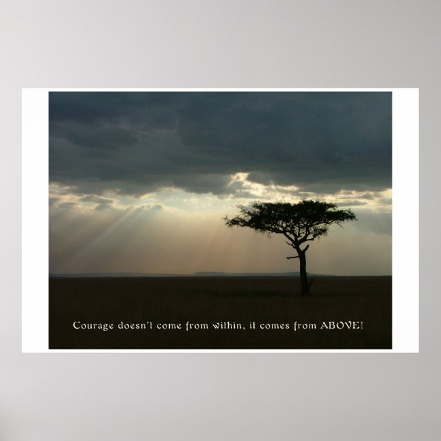 Courage von oben poster (Vorne)