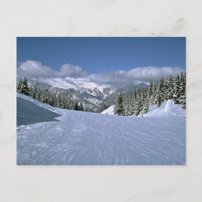 Courchevel, Frankreich, Zuhause des Skiareals Tree Postkarte (Vorderseite)