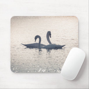 Courting Swans Nature Foto Mousepad