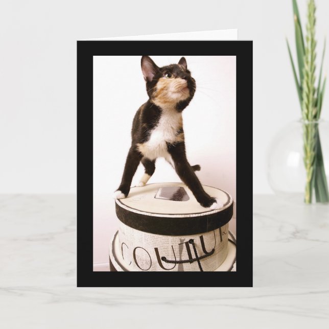 Couture-Katze Karte (Vorderseite)