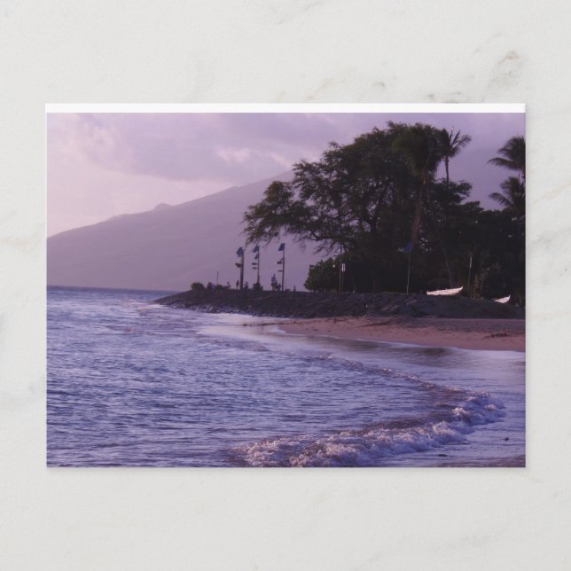 Cove Park Postkarte (Vorderseite)