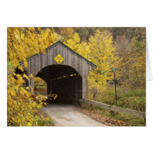 Covered bridge, Vermont, USA 2