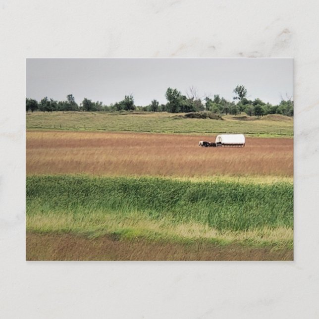 Covered Wagon bei Laura Ingalls Wilder Homestead Postkarte (Vorderseite)