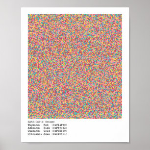 COVID-19 Genom Poster