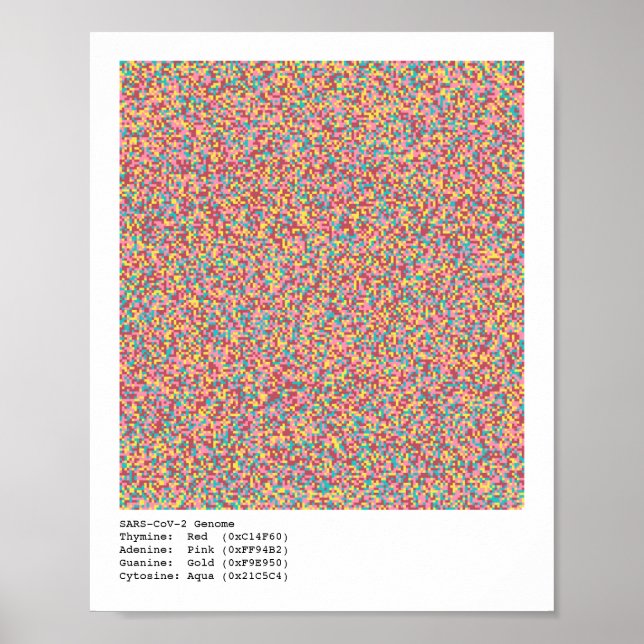 COVID-19 Genom Poster (Vorne)