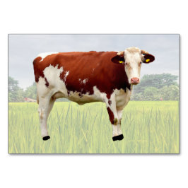 Cow ABA Tact Labelkarte | Picture Card Tischnummer