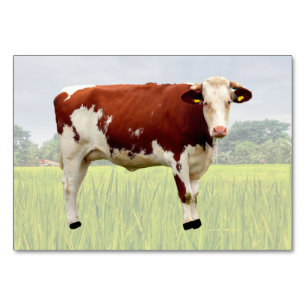 Cow ABA Tact Labelkarte Picture Card Tischnummer