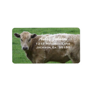 Cow Address Labels Adressaufkleber