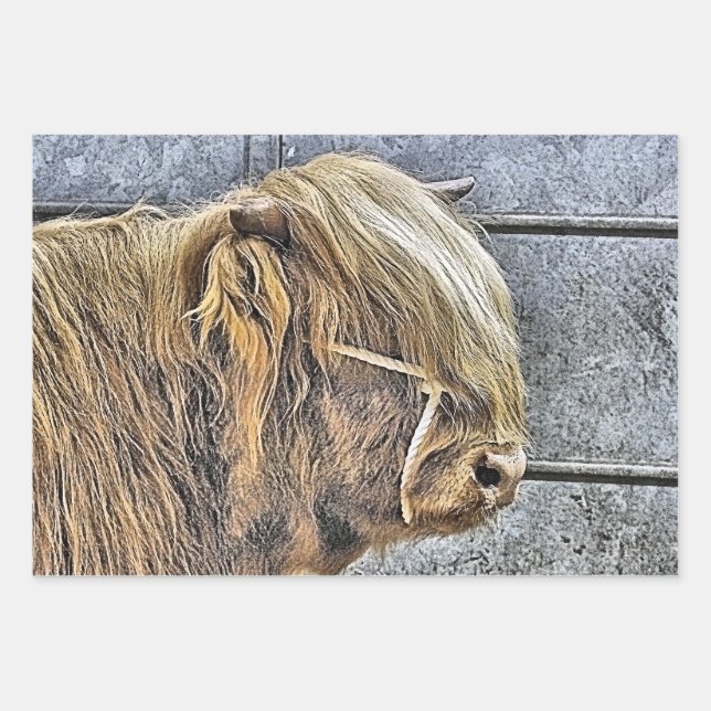 COW GESCHENKPAPIER SET (Vorderseite)