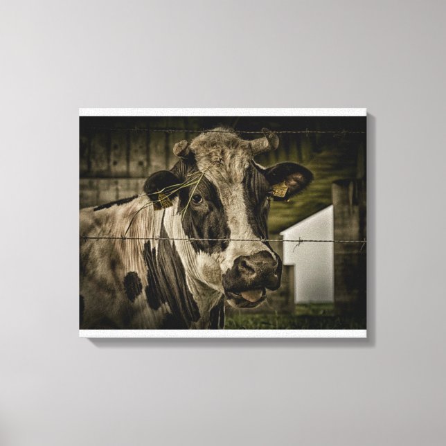 cow leinwanddruck (Vorderseite)