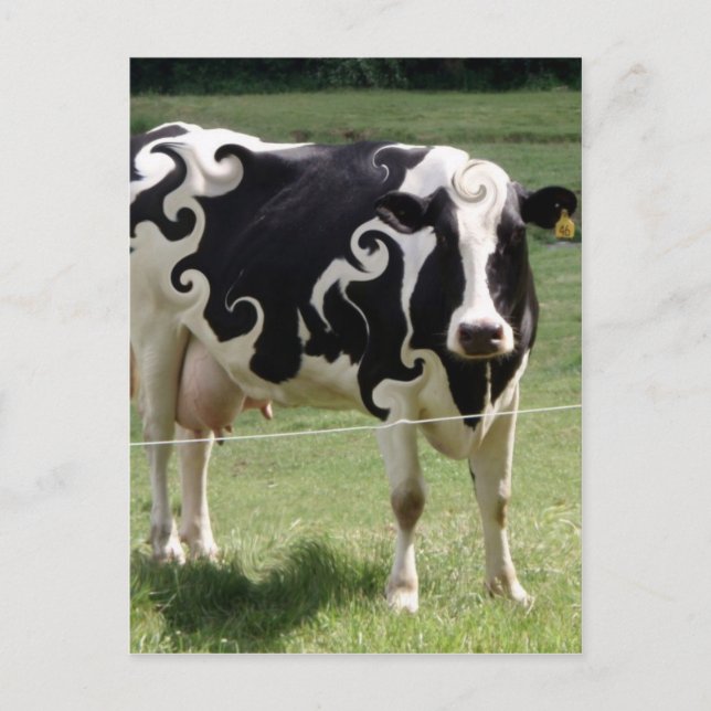 COW MIT SCHWIMMERN POSTKARTE (Vorderseite)