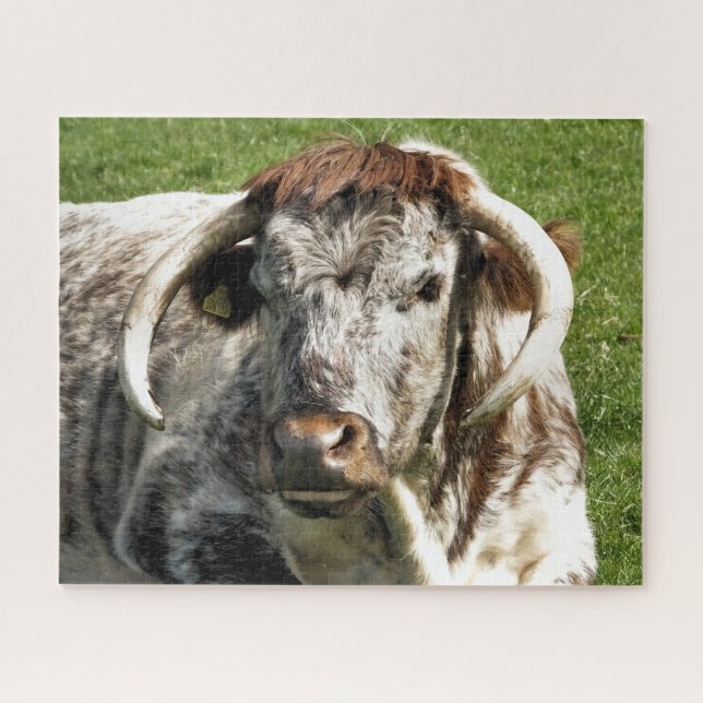 COW PUZZLE (Horizontal)