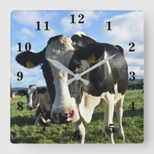 Cow Quadratische Wanduhr