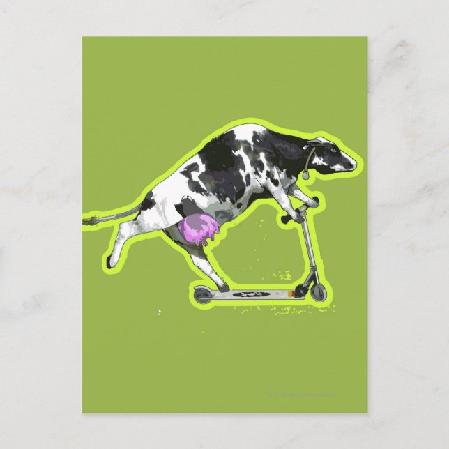 Cow Riding a Scooter Postkarte (Vorderseite)