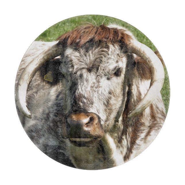 COW SCHNEIDEBRETT (Vorderseite)