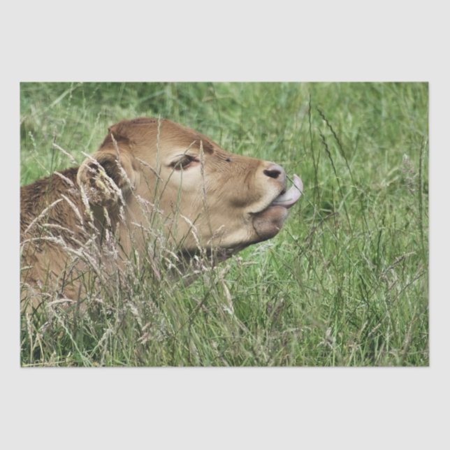 COW SEIDENPAPIER (Vorderseite)