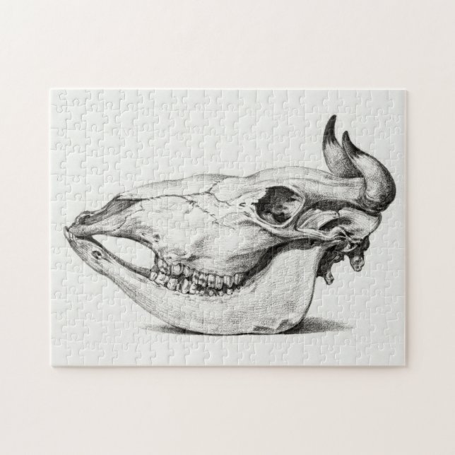 Cow skull by Jean Bernard Puzzle (Horizontal)