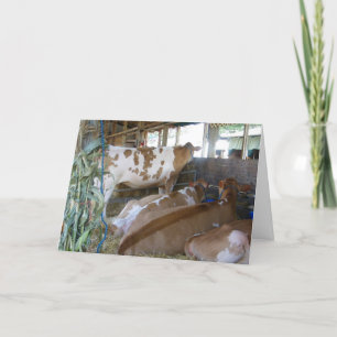 "COW SPASS 50. BIRTHDAY CARD" KARTE