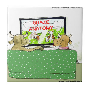 Cow TV Shows Funny Cartoon Fliese