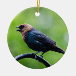 Cowbird Keramik Ornament
