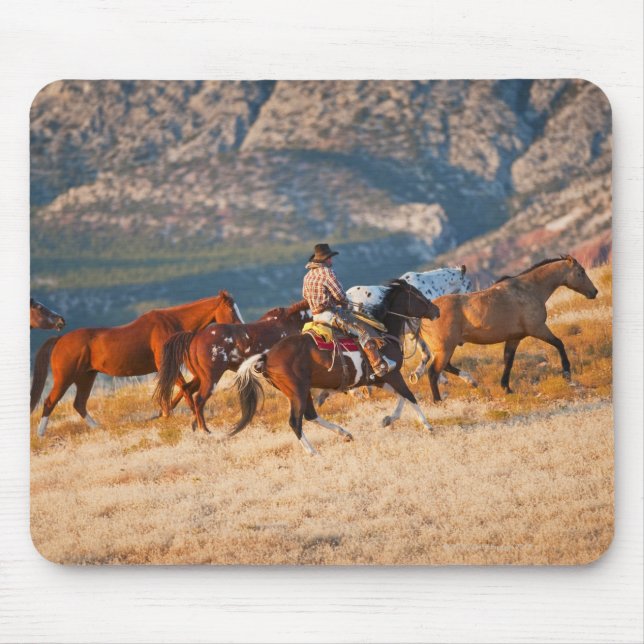 Cowboy als Wildpferd 2 Mousepad (Vorne)