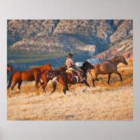 Cowboy als Wildpferd 2