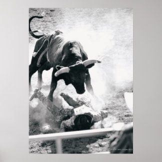 Cowboy auf dem Boden nach dem Absturz des Stiers Poster