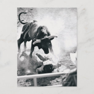 Cowboy auf dem Boden nach dem Absturz des Stiers Postkarte