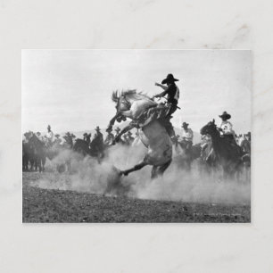 Cowboy auf einem ausschlagenden Bronco Postkarte