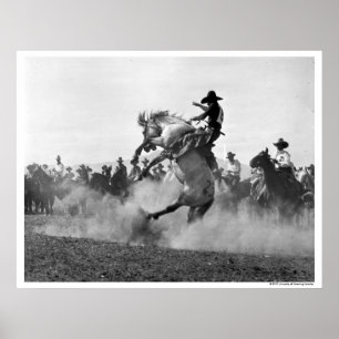 Cowboy auf einem buckligen Bronco Poster