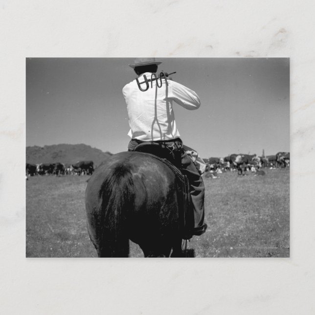 Cowboy auf einem Pferd mit zwei Marken. Postkarte (Vorderseite)