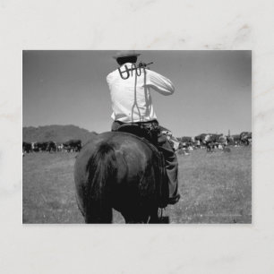 Cowboy auf einem Pferd mit zwei Marken. Postkarte