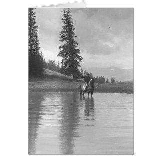 Cowboy auf einem Pferd stehend in einem Teich