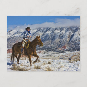 Cowboy auf Pferd mit Lederklappen Postkarte