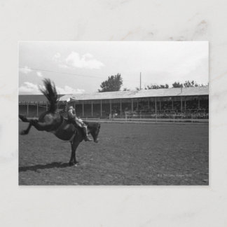 Cowboy auf Rodeo, (B&W) Postkarte