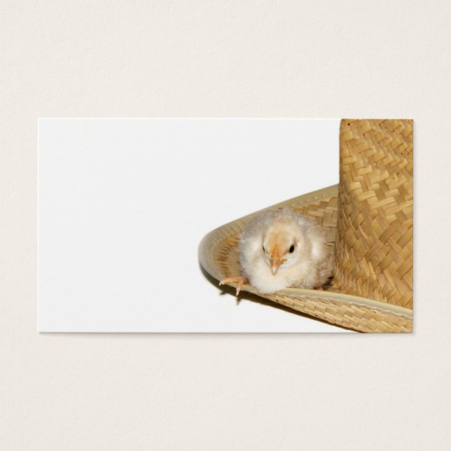 Cowboy-Baby-Küken-Visitenkarte (Vorderseite)