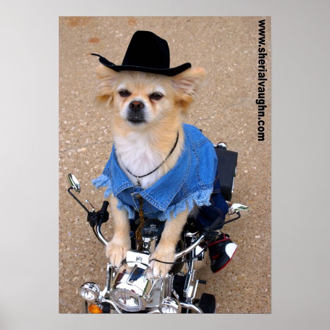 Cowboy Biker Dog Poster (Vorne)