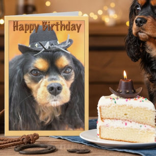 Cowboy Cavalier King Charles Spaniel Geburtstag Karte