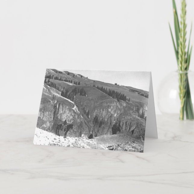 Cowboy getrennt von seiner Herde Karte (Vorderseite)