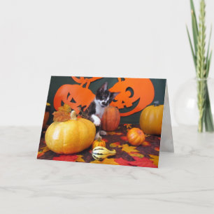 Cowboy-Halloween-Party - Katze / Kittenkarte Karte