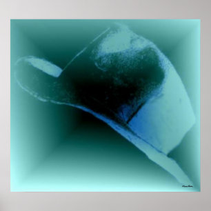 Cowboy Hat Poster