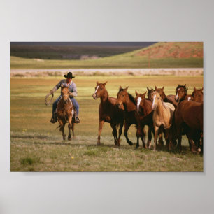 Cowboy Herding auf der Ranch Poster