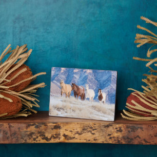 Cowboy Horse Drive auf der Hideout Ranch Fotoplatte